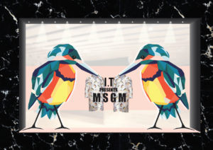 MSGM window design birds 2