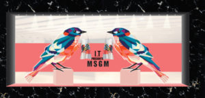 MSGM window design birds