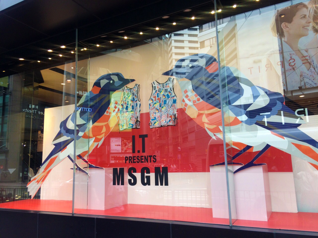 MSGM birds and cubes window, department store